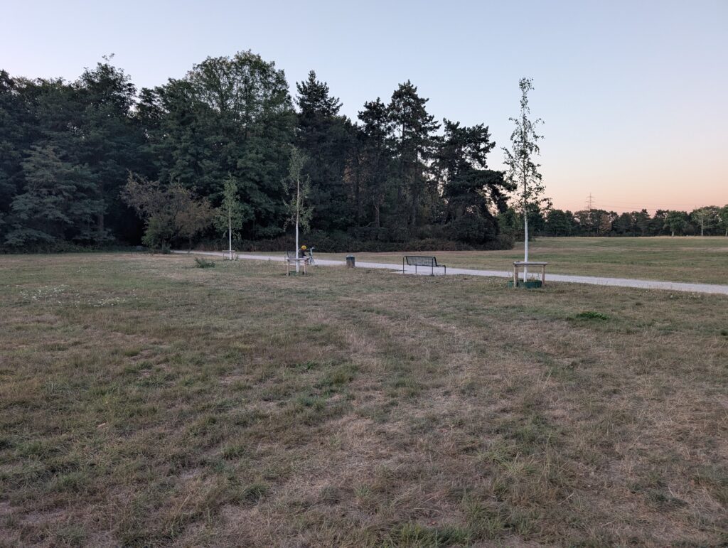 Weg mit Sitzbänken und Mülleimer an der Hundefreilauffläche 83 in der Merheimer Heide