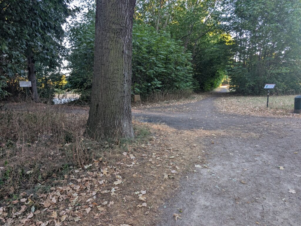 Weggabelung kurz vor der Hundefreilauffläche in der Merheimer Heide