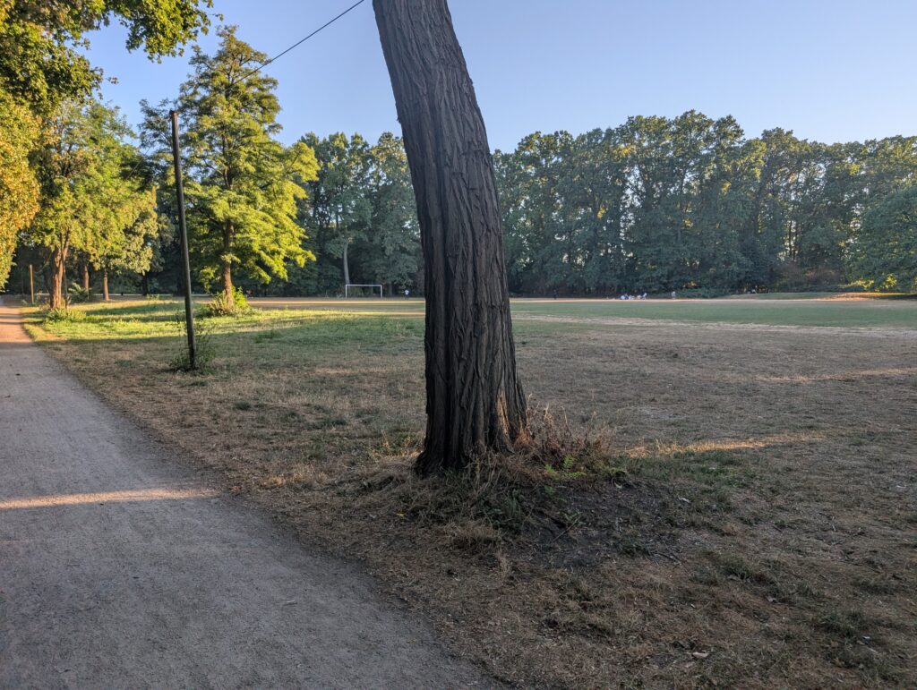 Weg entlang einer Wiese auf dem Weg zur Hundefreilauffläche in der Merheimer Heide